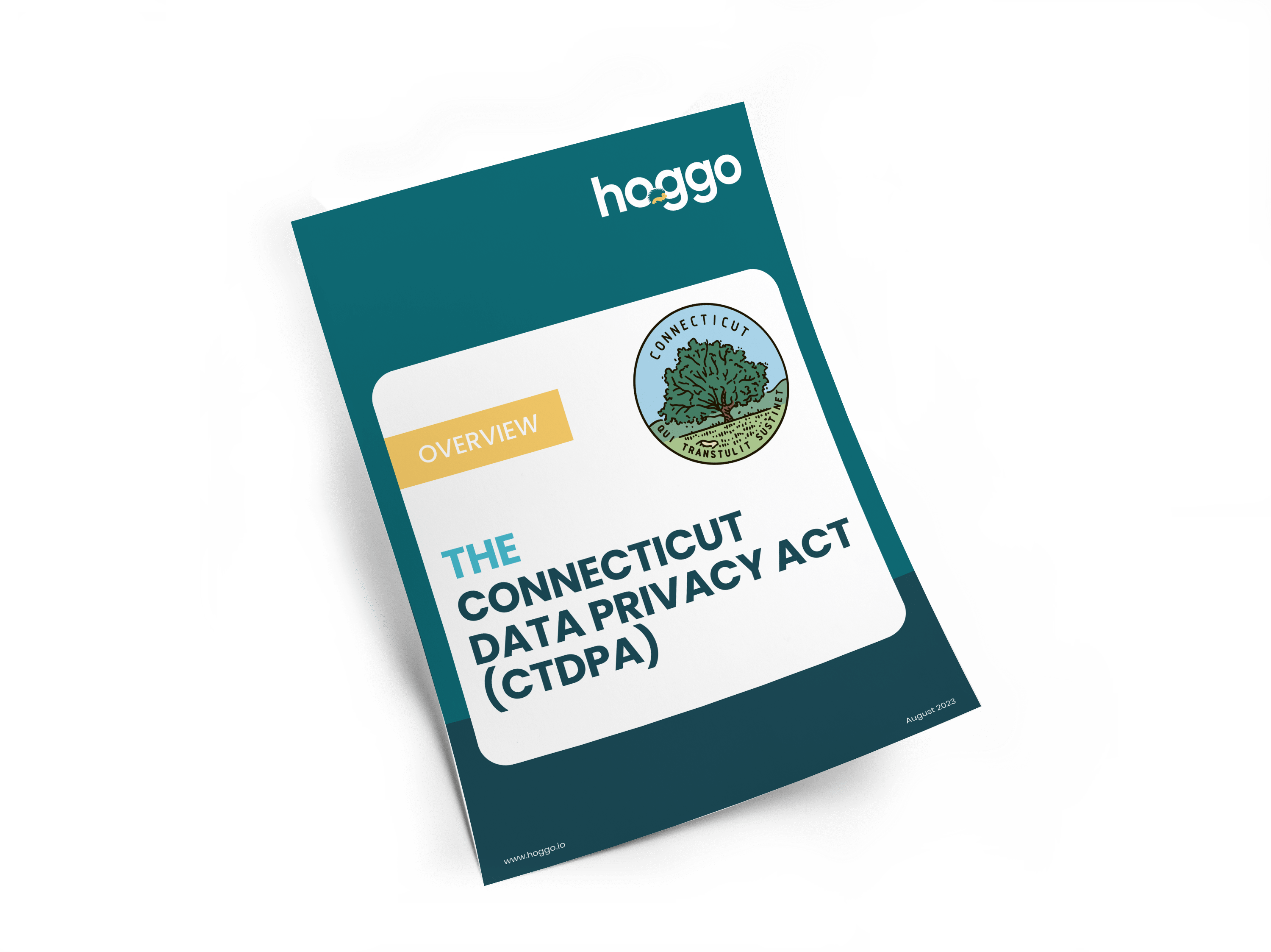Overview CTDPA - hoggo whitepaper