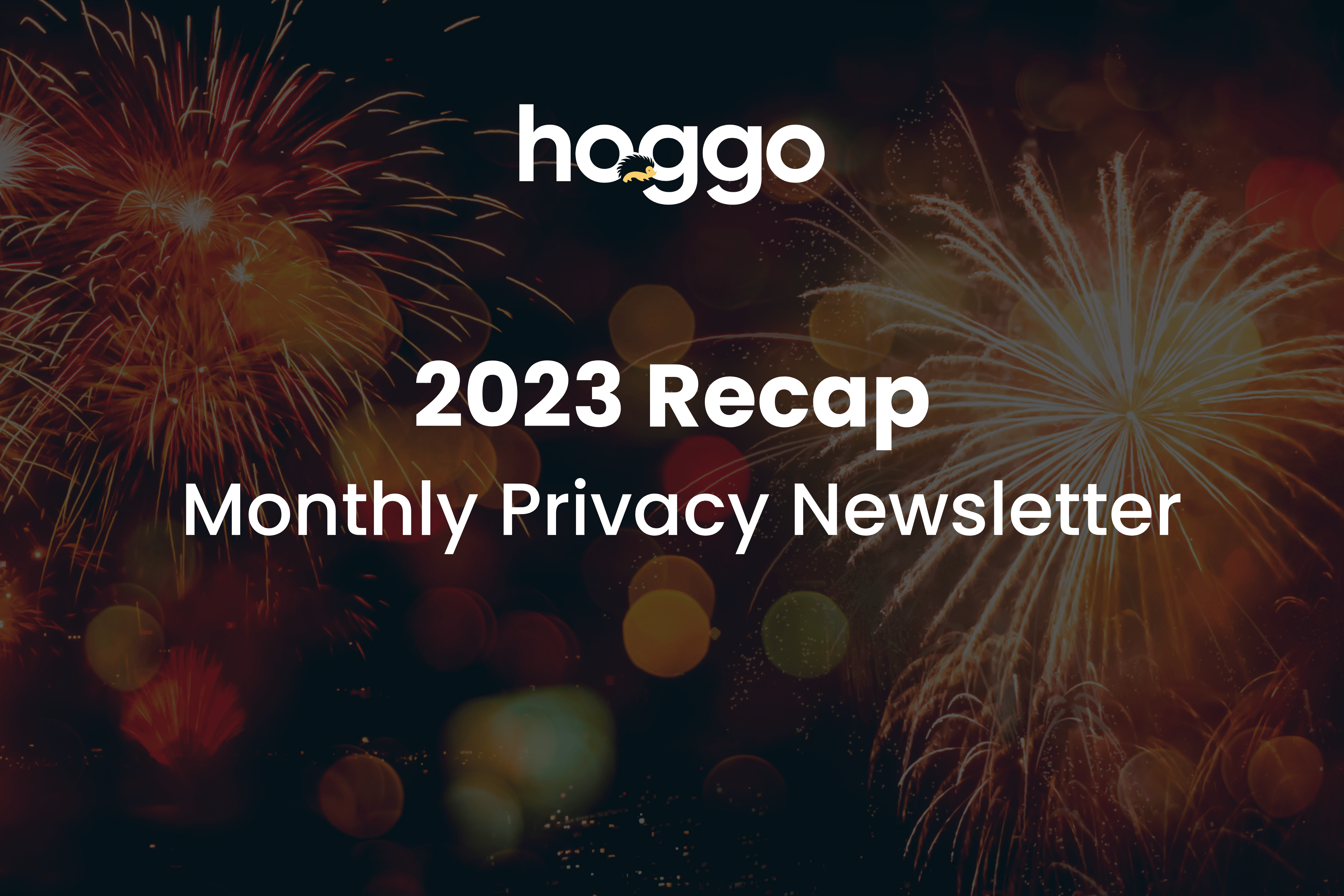 monthly privacy newsletter